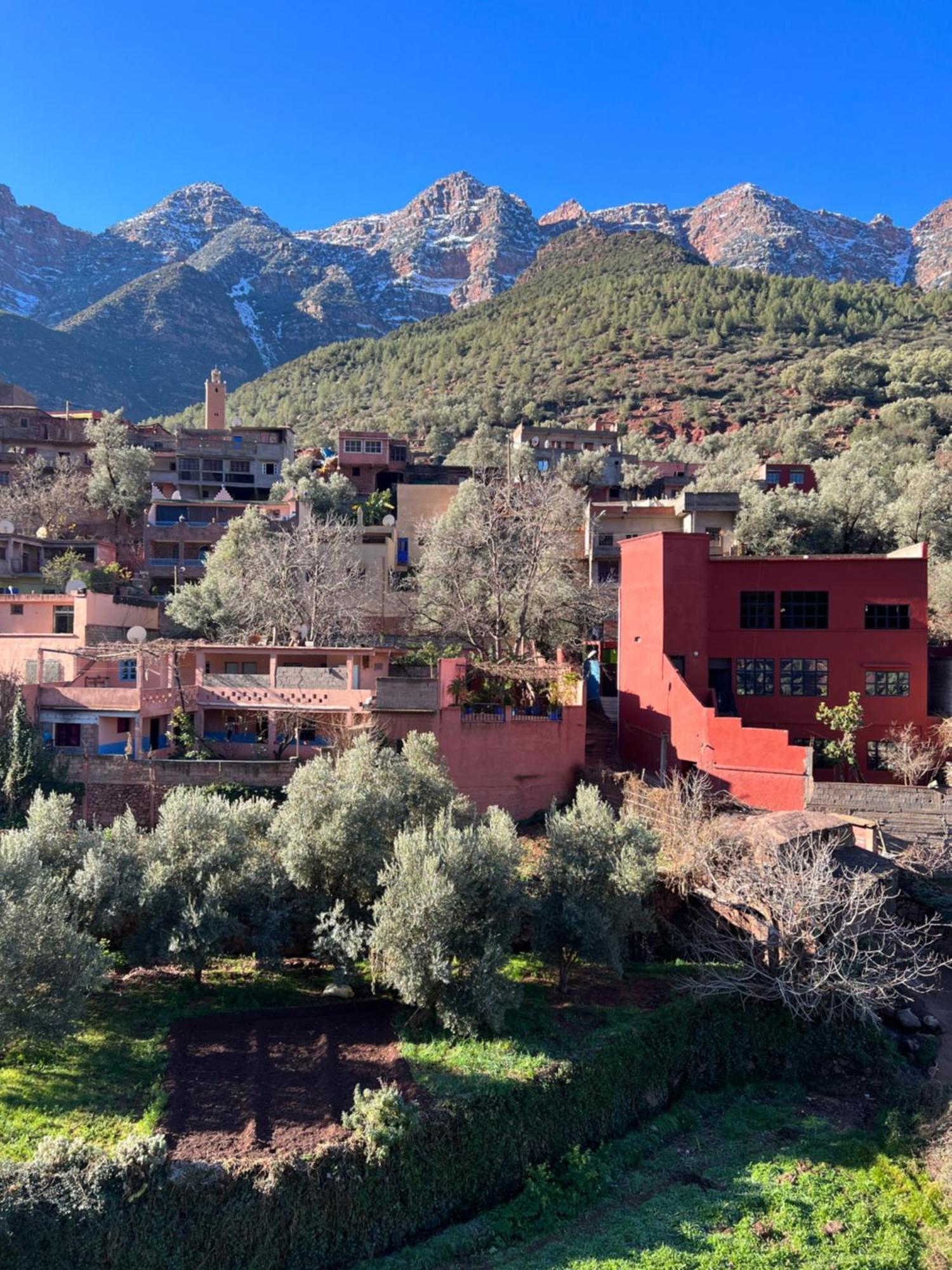Tazart Lodge Marrakesh Bagian luar foto
