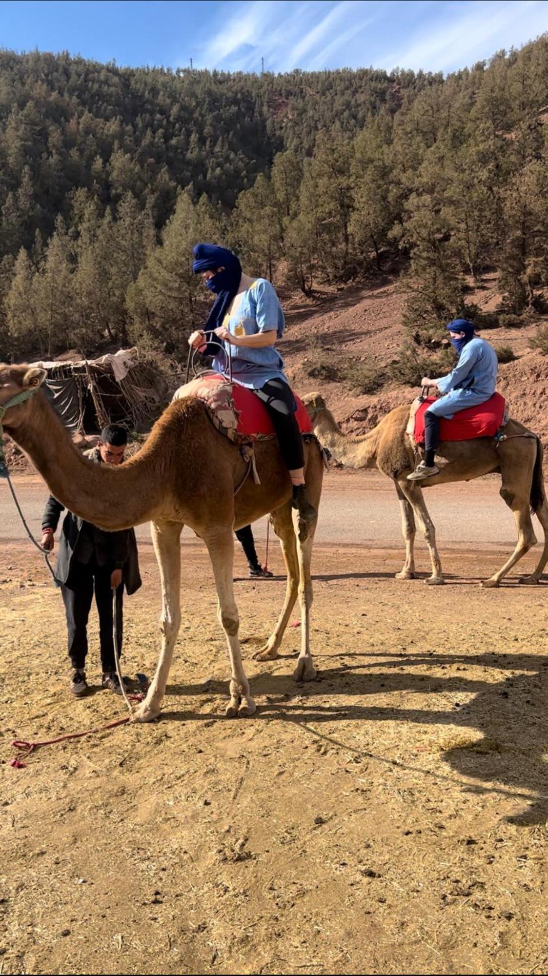 Tazart Lodge Marrakesh Bagian luar foto